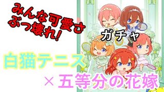 【白猫テニス】五等分の花嫁　コラボ　第２弾ガチャ