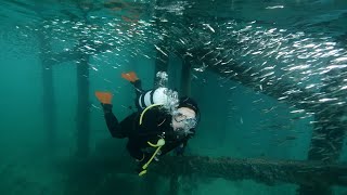 Scuba diving Ardrossan jetty on the Yorke Peninsula