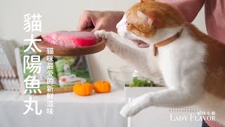 貓太陽魚丸，超美蛋捲好愛！【貓主食食譜】好味貓廚房EP71