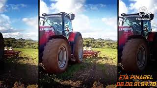 ETA PINABEL labour 2021 avec un massey Ferguson et une charrue kverlenand