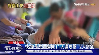 快跑! 是虎頭蜂群! 11人遭攻擊 2人命危｜TVBS新聞 @TVBSNEWS02