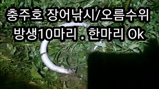 [낚시]충주호 장어낚시/오름수위/장어11마리