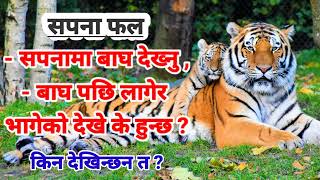 sapana ma bagh dhekhe ke hunxa  सपनामा बाघ देखे के हुन्छ dreaming tiger meaning sapana fal