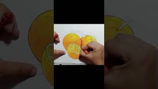 How To Draw Orange Fruit Easily/Orange Drawing With Oilpastel#youtubeshorts/Orange Drawing Easy