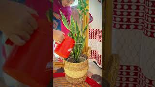 সুখ এবং দুঃখ একে অন্যের পরিপূরক #home