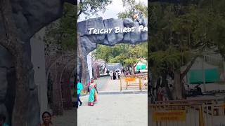 Trichy Birds Park 🦜🏞️🦞🦈🪿💯 #trichy #trichybirdspark