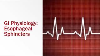 GI Physiology: Esophageal Sphincters