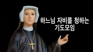 하느님의 자비를 청하는 기도 모임 : 병자들을 위하여