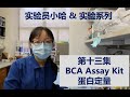 Visual Protocol - #13 - BCA Assay Kit - Protein Quantification - 实验员小哈&实验系列 - 第十三集