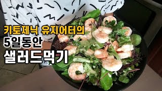 키토제닉식단 + 5일동안 샐러드먹기ㅣ몸이 가벼워지는 식단ㅣ뱃살 눈바디체크!!ㅣ샐러드레시피ㅣ키토식하는 엄마의 일상ㅣ미국일상