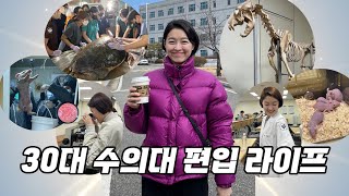 30대 수의대 편입 생활 1년 요약 (골학, 부검, 실습 등) - 문과/직장인도 할 수 있다!