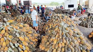 PREÇO BAIXO É NA CEACA EM CARUARU, PERNAMBUCO. ISTO É NORDESTE!