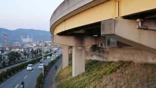 【廃線跡】桃花台新交通桃花台線 ピーチライナーに行ってきた