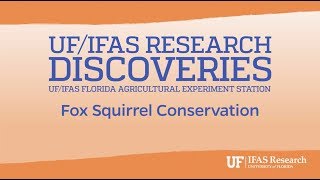 Fox Squirrel Conservation Research