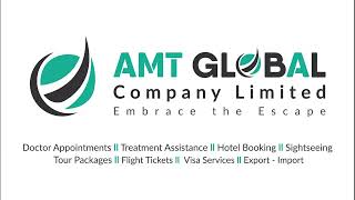 AMT GLOBAL