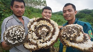 CÙNG THỢ NÚI SĂN ONG ĐẤT KHỦNG VÀ CÁI KẾT… LÀM NỒI CHÁO ONG MỜI DÂN LÀNG CÙNG ĂN - CƠM QUÊ TV