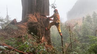 Splitting timber