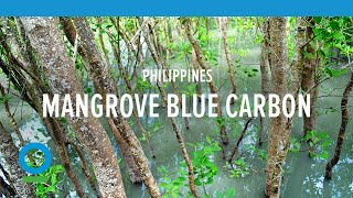 Mangrove Blue Carbon, Philippines