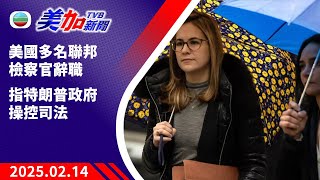 TVB 美加新聞｜美國多名聯邦檢察官辭職 指特朗普政府操控司法｜美國新聞｜2025年02月14日