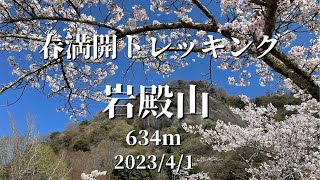 【登山】岩殿山〜稚児落とし　花見登山