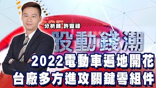 2022電動車遍地開花 台廠多方進攻關鍵零組件《股動錢潮》許豐祿  20220208