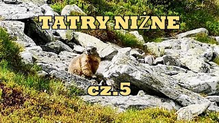 Tatry Niżne Granią Główną - dzień 5 finał wyprawy - Utulna Andrejcova - Kralova Hola - Telgart