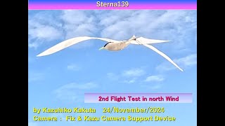 小型アジサシ型羽ばたき機　Sterna139　64g： 2nd Flight Test in north Wind