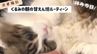 ＊土曜日朝のくるみルーティーン＊