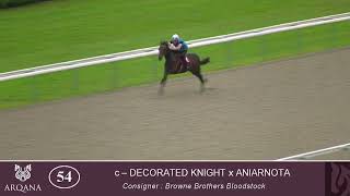 2022 Summer Sale - Lot 54 c. DECORATED KNIGHT x ANIARNOTA