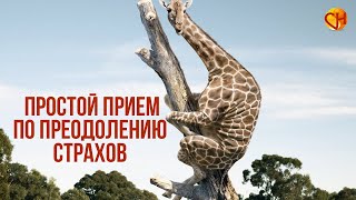 Николай Смирнов. Простой прием по преодолению страхов.