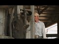 customer stories gallagher animal performance technology for breeding success