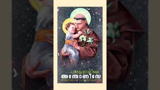 13 June 2023 #st  #stantony #Padua, #Priest, Doctor വിശുദ്ധ അന്തോണിസിന്റെ തിരുനാൾ St Antony of Padua