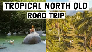 Cairns to Cape Tribulation Road Trip! Tropical North Queensland Travel Vlog