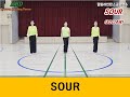Sour Line Dance / Absolute Beginner