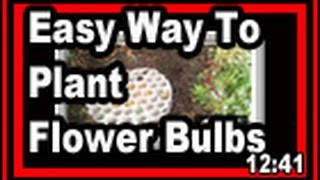 Easy Way To Plant Flower Bulbs - Wisconsin Garden Video Blog 466