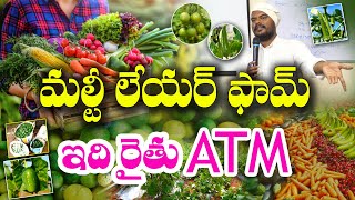 ఒకసారి నిర్మిస్తే.. ప్రతి రోజూ ఆదాయం | Multilayer Farming