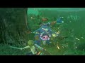 BREATH OF THE WILD Trial Of The Sword In Master Mode Is Still Hard