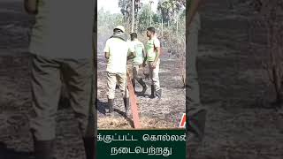 கொல்லன்வயல் கிராமத்தில் தீ விபத்து #vairal #tamil #news #aranthangi #breakingnews #dmdk #dmk #fire