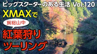 【モトブログ】XMAXで房総山中紅葉狩りツーリング