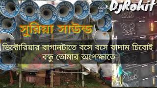 ভিক্টোরিয়ার বাগানটাতে বসেবসে বাদাম চিবোই বন্ধু তোমা অপেক্ষাতে সুরিয়া সাউন্ড আটঘড়িয়া মো:6295195848