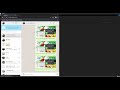 VBA Send WA using Selenium Chrome Driver