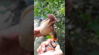 Amazing fruit cutting Maize🍉🍑🍓🍏🥭#fruitchopping #trending #shortfeed #shortvideo #shorta#shorts