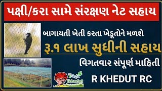 પક્ષી/કરા સામે સંરક્ષણ નેટ સહાય યોજના!ખેડૂત માટે નવી યોજના!ખેડૂત માટે સબસીડી!નેટ જાળી માટે યોજના