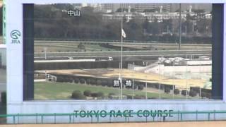 2012年3月11日東京競馬場にて