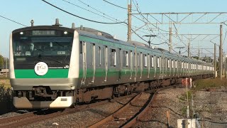 【鉄道開業150年＆川越市市制施行100周年記念HM掲出】E233系7000番台 都ハエ(宮ハエ)106編成 快速川越行(川越線内各駅停車表示) 指扇～南古谷通過【4K】