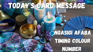 24 Feb'25🤍Today's Card Message🤍Ngasigi Afaba Timing Colour Number🤍Manipuri Tarot Card Reading🤍