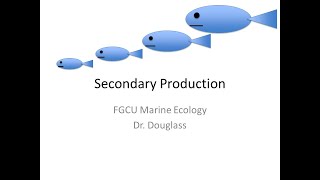 Marine Ecology Lecture: Secondary Production