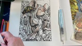 Adult Coloring - Albrecht Durer Watercolors