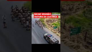 DRONE SEGUINDO VIATURA DA CAATINGA PMBA. CORRIDÃO COM IMAGENS AÉREAS #shortsviral #pmba