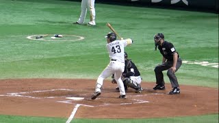 井上朋也が待望のプロ初打席！